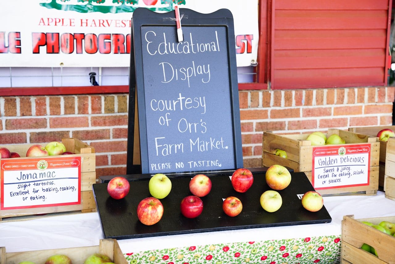 Mountain State Apple Harvest Festival