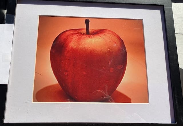 Mountain State Apple Harvest Festival