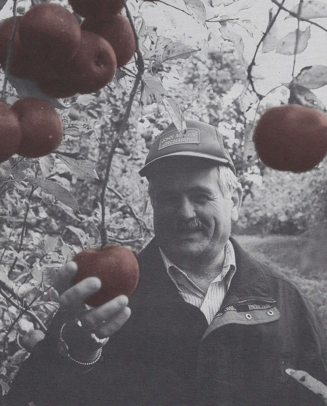 John M. Miller III among the apple trees, wearing a John Miller Orchards cap